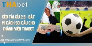Kèo tài xỉu 2.5 - Bật Mí Cách Soi Cầu Cho Thành Viên Thabet